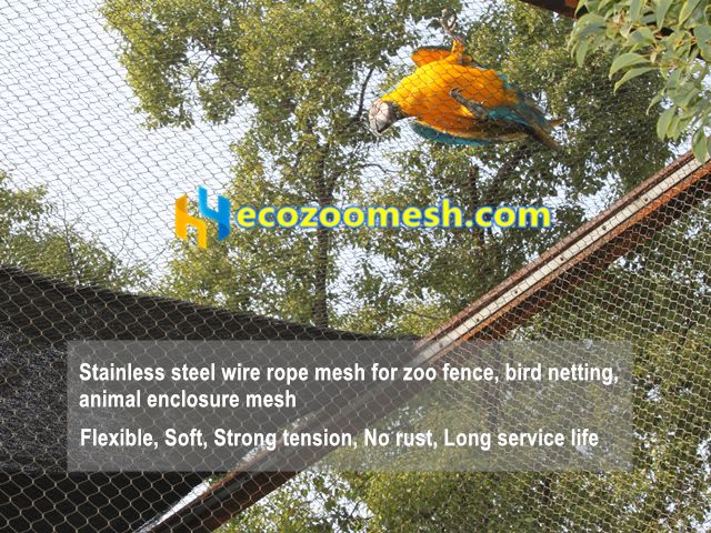Why Stainless Steel Cable Mesh Is Ideal for Small Bird Aviaries