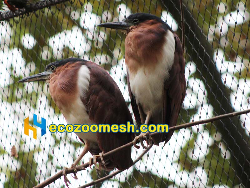 1/16" Cable Ferrule Mesh for birds aviary and animal enclosures 50ft x 16ft mesh roll