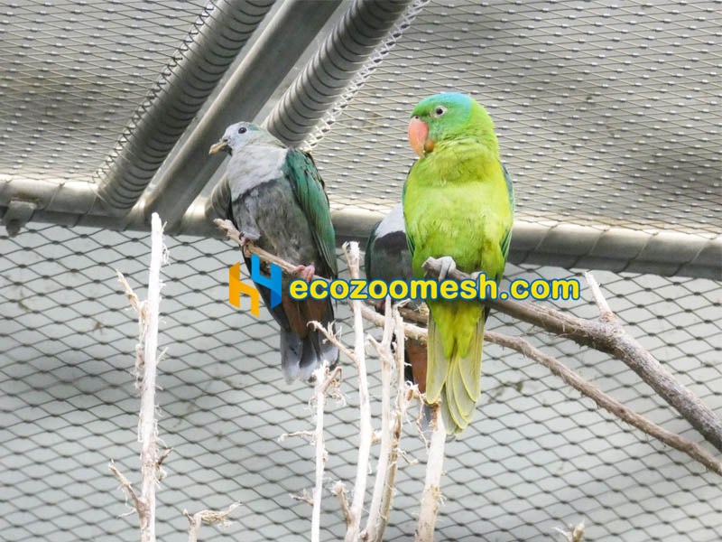 3/64" Cable Ferrule Mesh Birds Aviary and Small Animals Fence - 50ft x 16ft