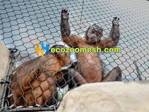 3/32" Stainless steel wire rope mesh for Gorillas fence mesh, 3/32" 50ft × 16ft Panel, black oxidized and natural color