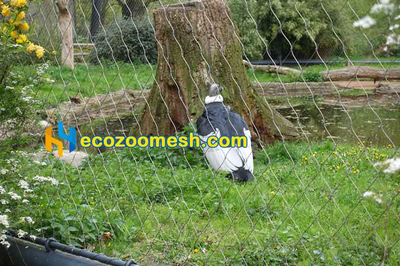 5/64" Cable Wire Ferrule Mesh used in zoo enclosure construction - 50ft x 16ft mesh panel