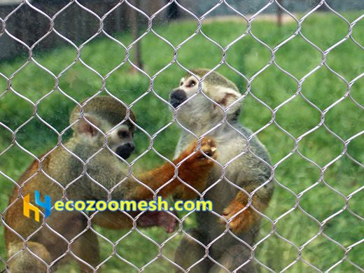 Monkey fence mesh, Skilled at climbing animal fencing