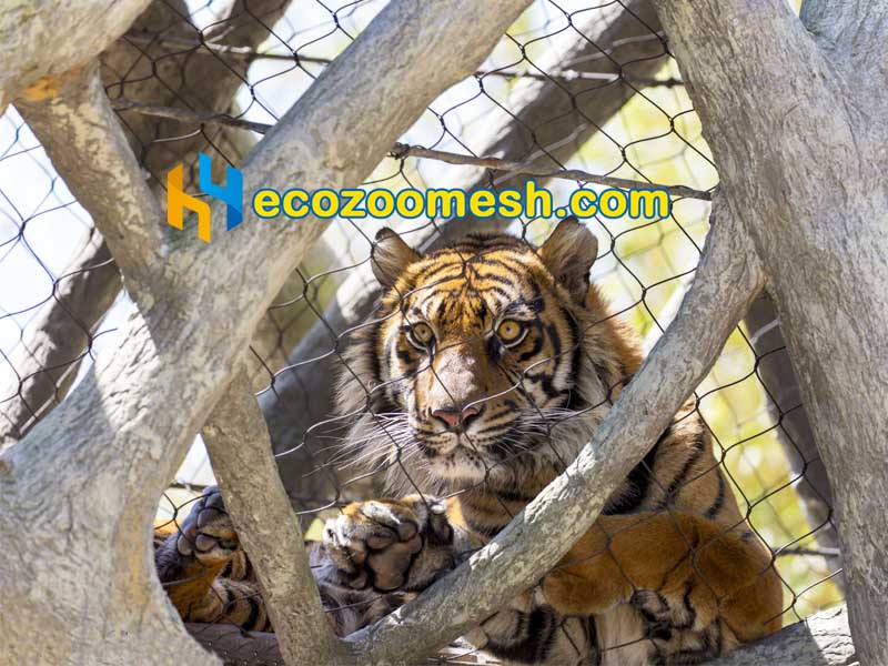 Tiger fence mesh use 1/8" steel cable mesh, Specialized Fencing mesh for Carnivore Enclosures