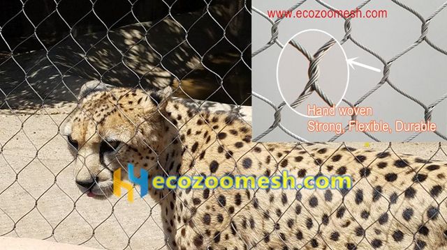 Zoo Animal Fence Mesh: Complete Guide to Stainless Steel Cable Mesh & Animal Enclosure Solutions