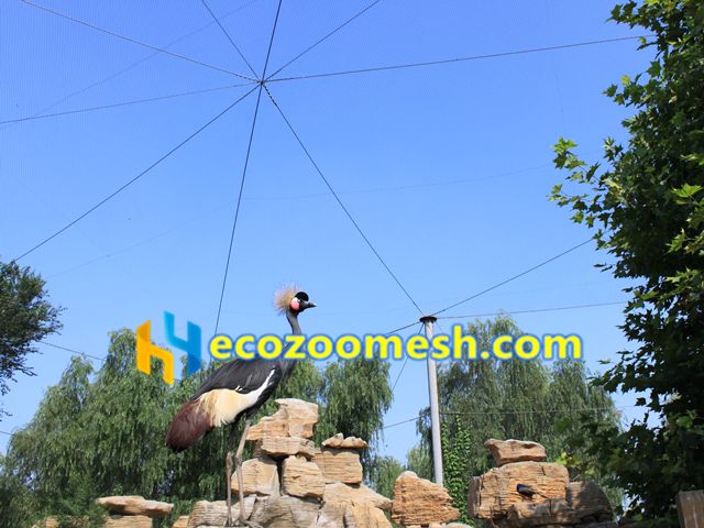 customized flexible stainless steel wire rope mesh for large bird aviary