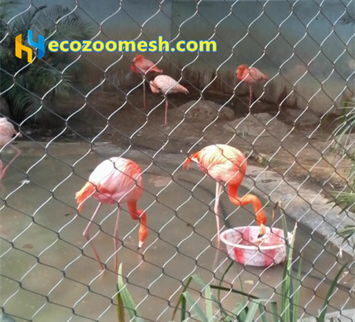 Sainless steel Aviary mesh