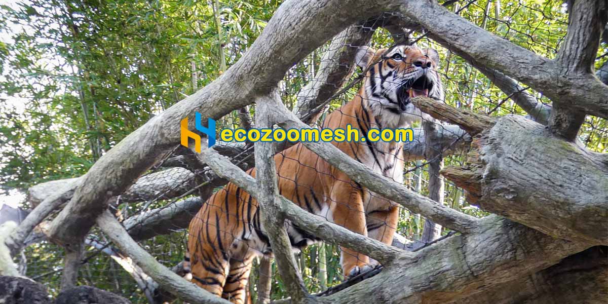 Strong tiger fence mesh