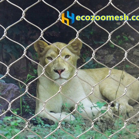 3" × 3" Lion Enclosure Mesh with 1/8-Inch Rope, Featuring the Strongest Tensile Force