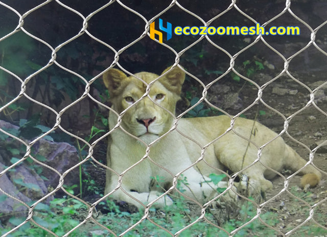3" × 3" Lion Enclosure Mesh with 1/8-Inch Rope, Featuring the Strongest Tensile Force