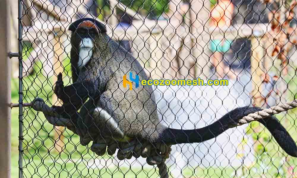 Monkey fence mesh, Skilled at climbing animal fencing