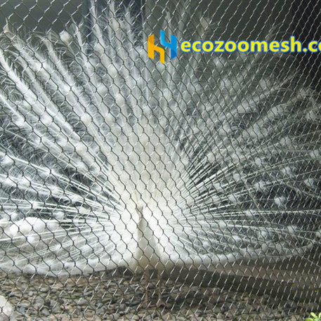 Large Birds Aviary Mesh, hand-woven rope mesh for aviary