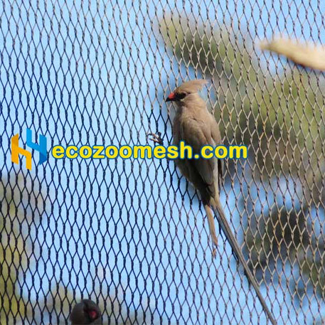 Stainless Steel Aviary Mesh for Finches - Safe Non-Toxic Bird Aviary Mesh for Finch Cages