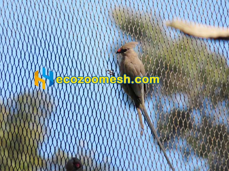Stainless Steel Aviary Mesh for Finches - Safe Non-Toxic Bird Aviary Mesh for Finch Cages