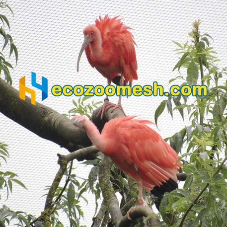 5/64" Cable Wire Ferrule Mesh used in zoo enclosure construction - 50ft x 16ft mesh panel