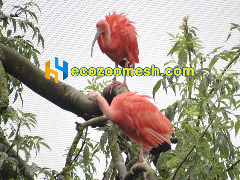 5/64" Cable Wire Ferrule Mesh used in zoo enclosure construction - 50ft x 16ft mesh panel