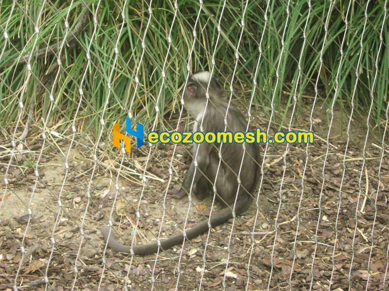Ferrule Wire Rope Mesh for Monkey Enclosure - 50' x 16' mesh roll
