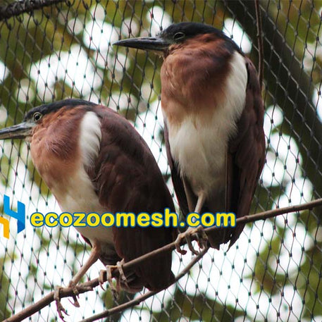 1/16" Cable Ferrule Mesh for birds aviary and animal enclosures 50ft x 16ft mesh roll