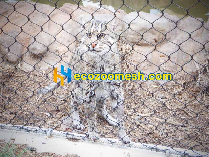 Small Animals Exhibit Mesh - 50ft x 16ft mesh panel