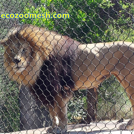 3" × 3" Lion Enclosure Mesh with 1/8-Inch Rope, Featuring the Strongest Tensile Force