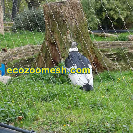 5/64" Cable Wire Ferrule Mesh used in zoo enclosure construction - 50ft x 16ft mesh panel