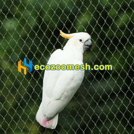 304 Ferrule Mesh Wire Net for Zoo Animal Enclosure Barrier | Zoo Safety Barrier & Cable Net System