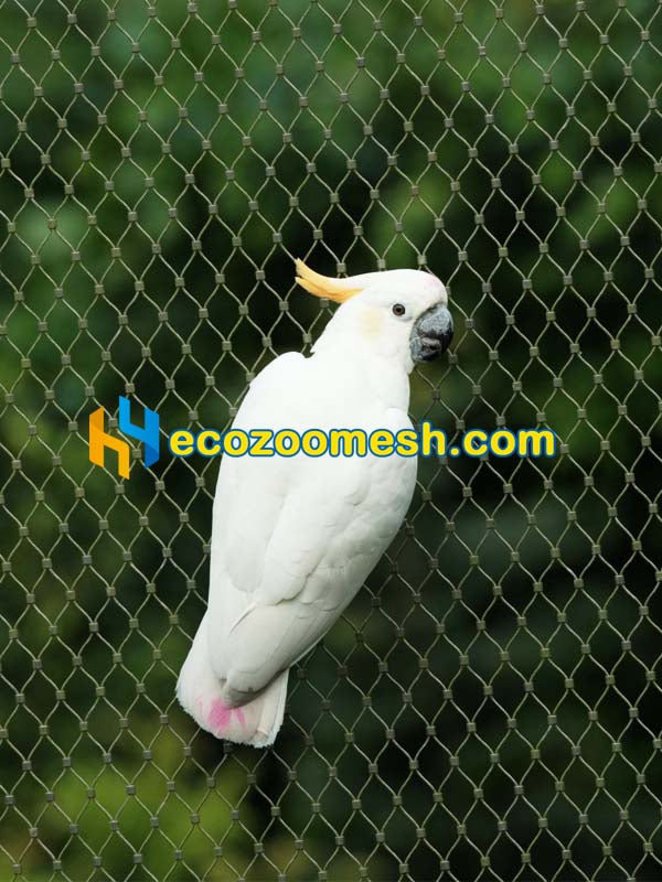 304 Ferrule Mesh Wire Net for Zoo Animal Enclosure Barrier | Zoo Safety Barrier & Cable Net System