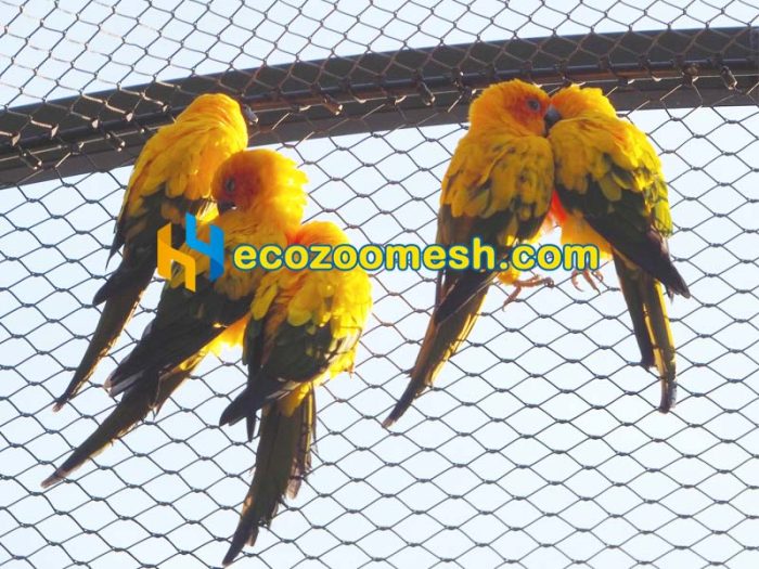 304 Ferrule Mesh Wire Net for Zoo Animal Enclosure Barrier | Zoo Safety Barrier & Cable Net System