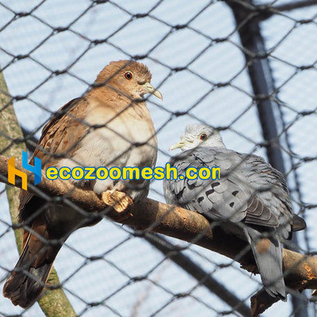 Stainless Steel Aviary Mesh for Finches - Safe Non-Toxic Bird Aviary Mesh for Finch Cages