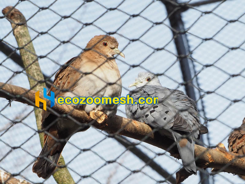 Stainless Steel Aviary Mesh for Finches - Safe Non-Toxic Bird Aviary Mesh for Finch Cages